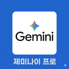 제미나이 프로 Gemini Pro 12개월, 1년