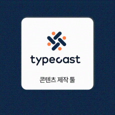 타입캐스트 Typecast